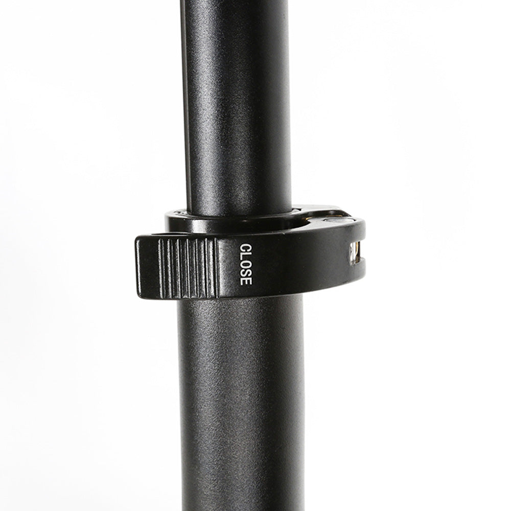 SAMEBIKE 20LVXD30-II Elektrofahrrad 20" Reifen 350W Motor 48V 10Ah Batterie