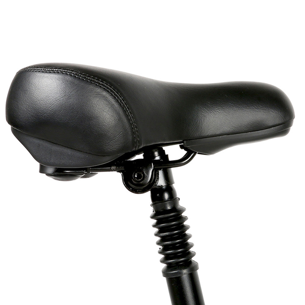 SAMEBIKE 20LVXD30-II Elektrofahrrad 20" Reifen 350W Motor 48V 10Ah Batterie