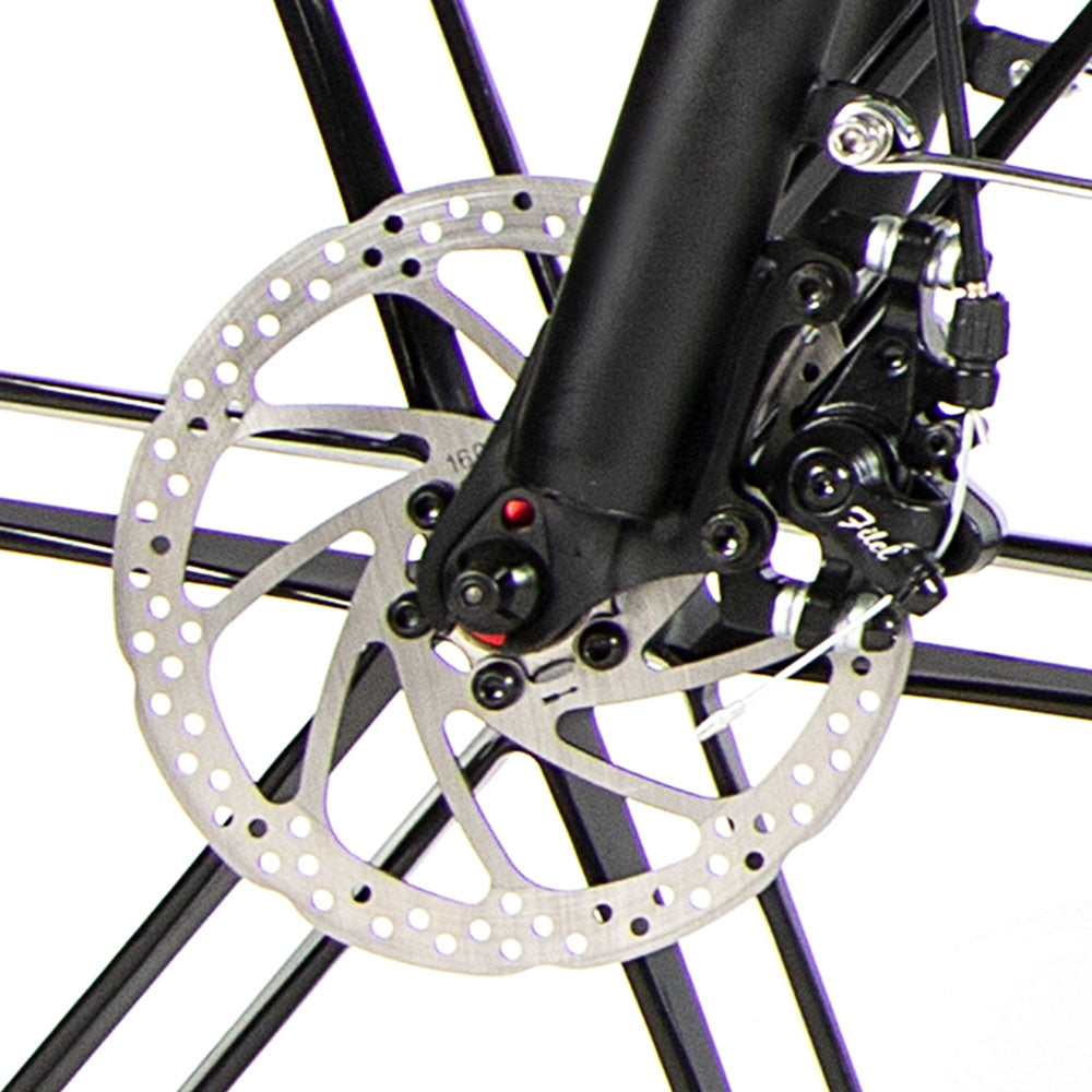 SAMEBIKE 20LVXD30-II Elektrofahrrad 20" Reifen 350W Motor 48V 10Ah Batterie