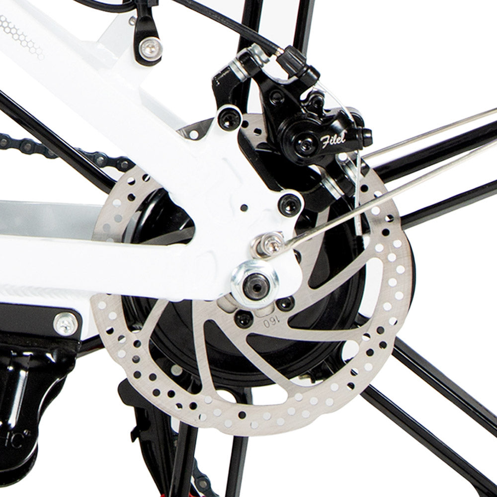 SAMEBIKE 20LVXD30-II Elektrofahrrad 20" Reifen 350W Motor 48V 10Ah Batterie