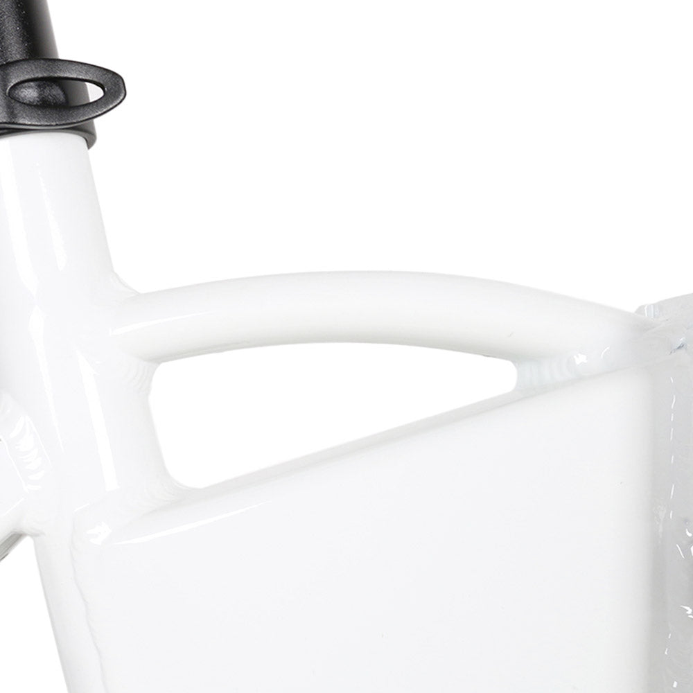 SAMEBIKE 20LVXD30-II Elektrofahrrad 20" Reifen 350W Motor 48V 10Ah Batterie