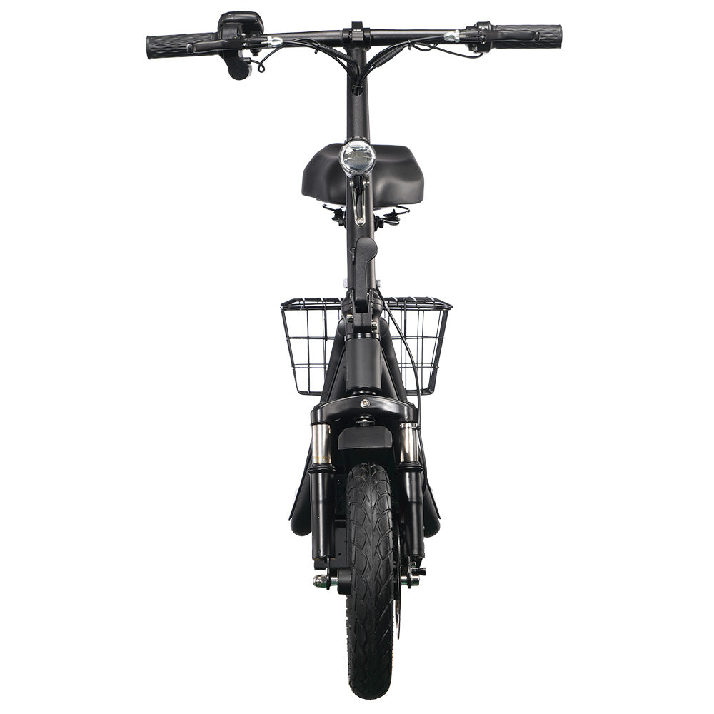 TWOFISH M5 Elite Electric Scooter 14" Tire 500W 48V 13Ah Battery