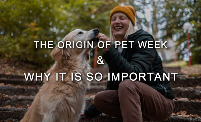 Pet Week The Origin of Pet Week and why it is so Important – OOLACTIVE