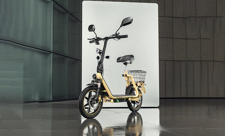 twofish-m5-elite-electric-scooter-with-eec-certificate