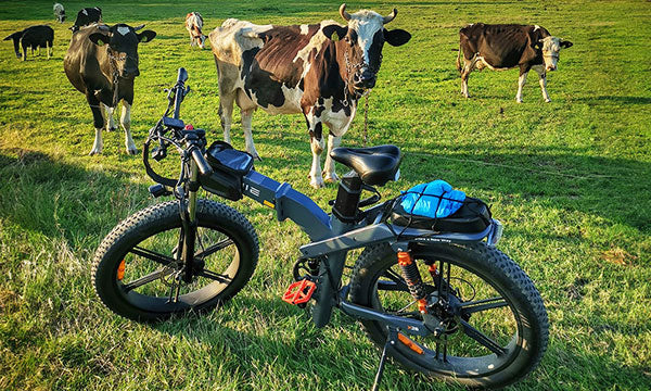 Best 1000W Motor eBikes 2024 - OOLACTIVE Best 1000W Motor eBikes 2024 - OOLACTIVE