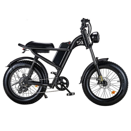 Bicicleta de montaña eléctrica Z8 20" batería gorda del motor 48V 15Ah de los neumáticos 500W