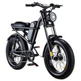 Z8 Electric Mountain Bike 20'' Fat Tires 500W Motor 48V 15Ah Battery
