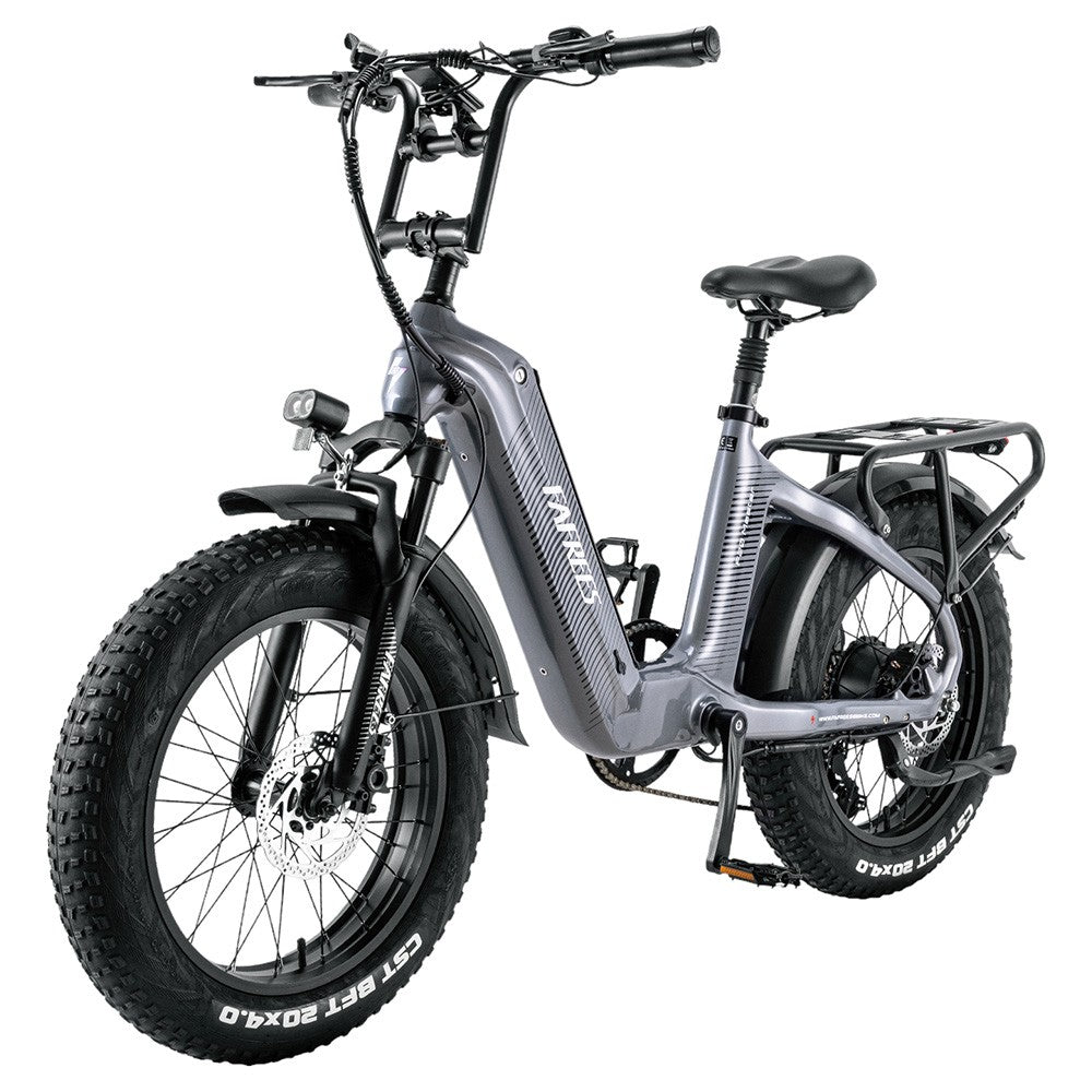 Fafrees F20 Master Electric Bike 20'' Tires 500W 48V 22.5Ah Samsung Battery