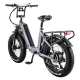 Fafrees F20 Master Electric Bike 20'' Tires 500W 48V 22.5Ah Samsung Battery