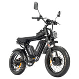 Ridstar Q20 Pro Electric Bike 20'' Tires Dual 1000W Motors Dual 52V 20AH Batteries