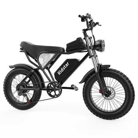Ridstar Q20 Electric Mountain Bike 20'' Fat Tires 1000W Motor 48km/h Speed 48V 20Ah Battery