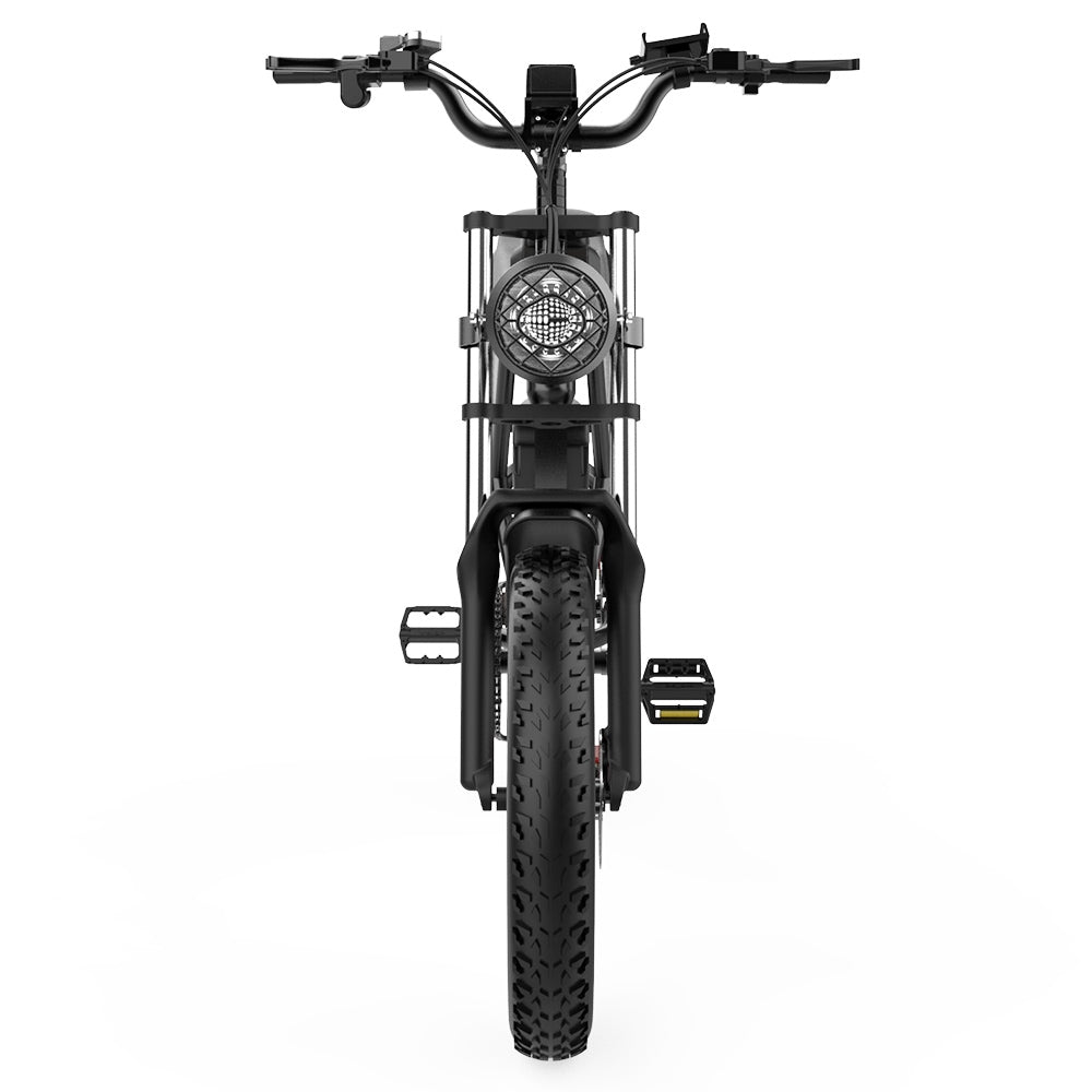 Ridstar Q20 Elektro-Mountainbike, 20-Zoll-Reifen, 1000-W-Motor, 48-V-20-Ah-Batterie