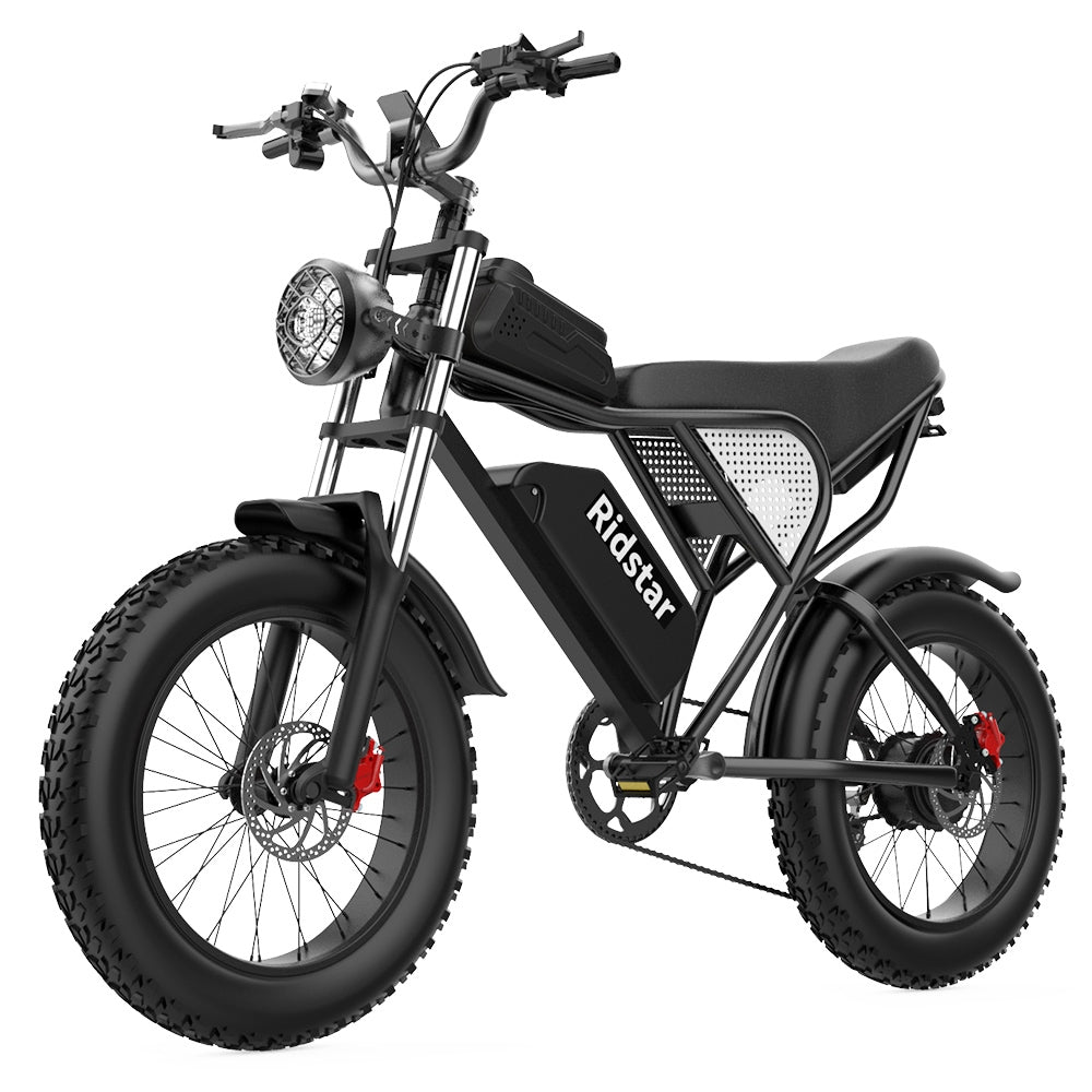 Ridstar Q20 Electric Mountain Bike 20'' Tires 1000W Motor 48V 20Ah Battery