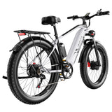 DUOTTS F26 Electric Bike 26'' Tires Dual 750W Motors 48V 17.5Ah LG Battery