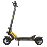 Ausom Leopard Electric Scooter with Seat 10‘’ Tires 1000W 48V 20.8Ah Battery