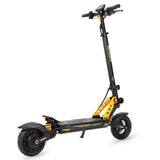 Ausom Leopard Electric Scooter with Seat 10‘’ Tires 1000W 48V 20.8Ah Battery