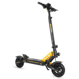 Ausom Leopard Electric Scooter with Seat 10‘’ Tires 1000W 48V 20.8Ah Battery