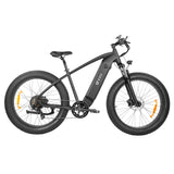 DYU King 750 Electric Bike 26'' Fat Tires 750W Motor 48V 20Ah LG Battery