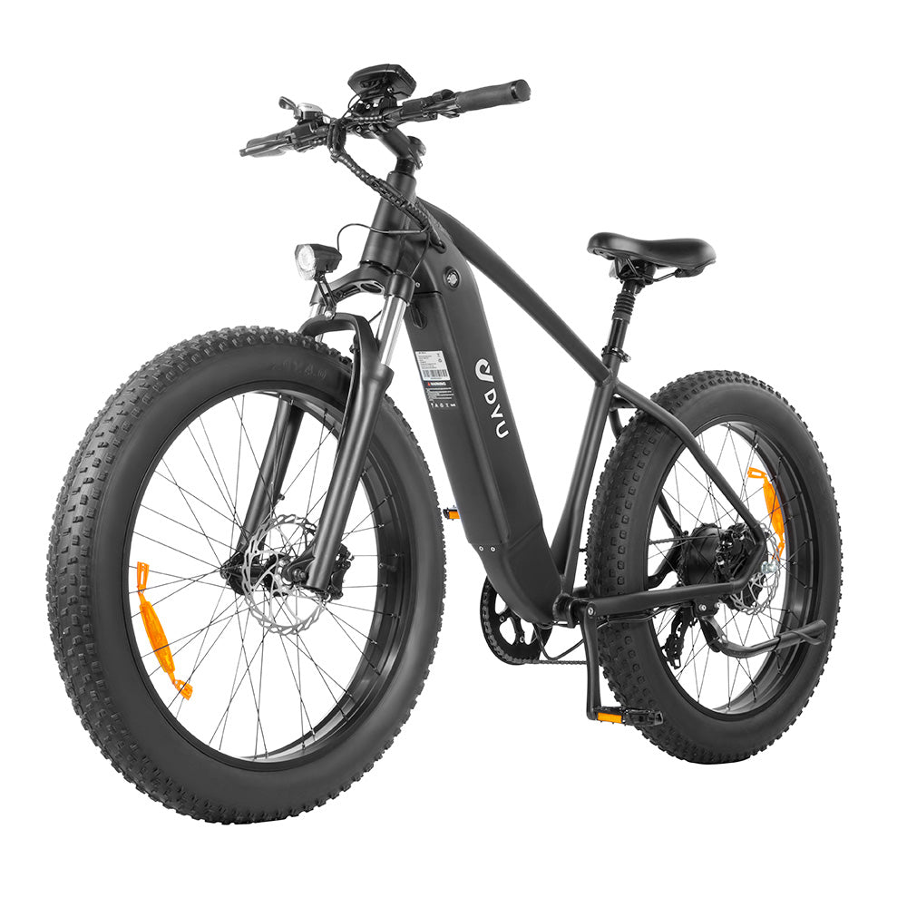 DYU King 750 Electric Bike 26'' Fat Tires 750W Motor 48V 20Ah LG Battery