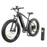 DYU King 750 Electric Bike 26'' Fat Tires 750W Motor 48V 20Ah LG Battery