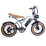 EUENI FXH009 Pro Electric Bike 20'' Fat Tires 750W Motor 48V 15Ah Battery