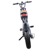 EUENI FXH009 Pro Electric Bike 20'' Fat Tires 750W Motor 48V 15Ah Battery