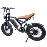 EUENI FXH009 Pro Electric Bike 20'' Fat Tires 750W Motor 48V 15Ah Battery