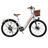 EUROBIKE Cityrun Electric Bike 250W Motor 36V 10Ah Battery