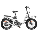 Fafrees F20 X-Max Electric Bike 20'' Tires 750W Motor 48V 30Ah Battery