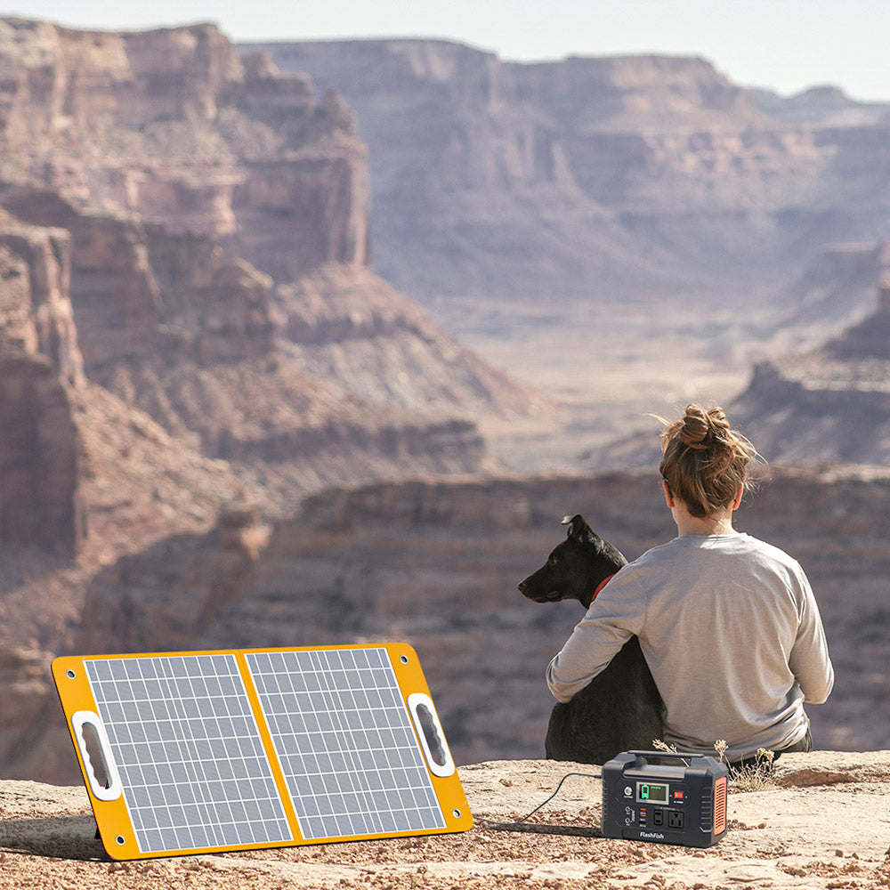 Flashfish TSP 18V 60W Foldable Solar Panel - OOLACTIVE