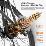 Foride Xtremer 2 Electric Bike 250W Motor 36V 15.6Ah Battery