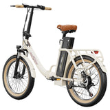 ONESPORT OT16-2 Electric Bike 20'' Tires 250W Motor 48V 15.6Ah Battery