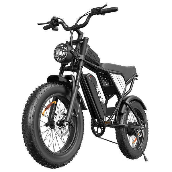YVY C20 Lite Electric Bike 20" Tires 1500W Motor 48V 15.6Ah Battery