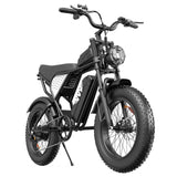 YVY C20 Lite Electric Bike 20" Tires 1500W Motor 48V 15.6Ah Battery