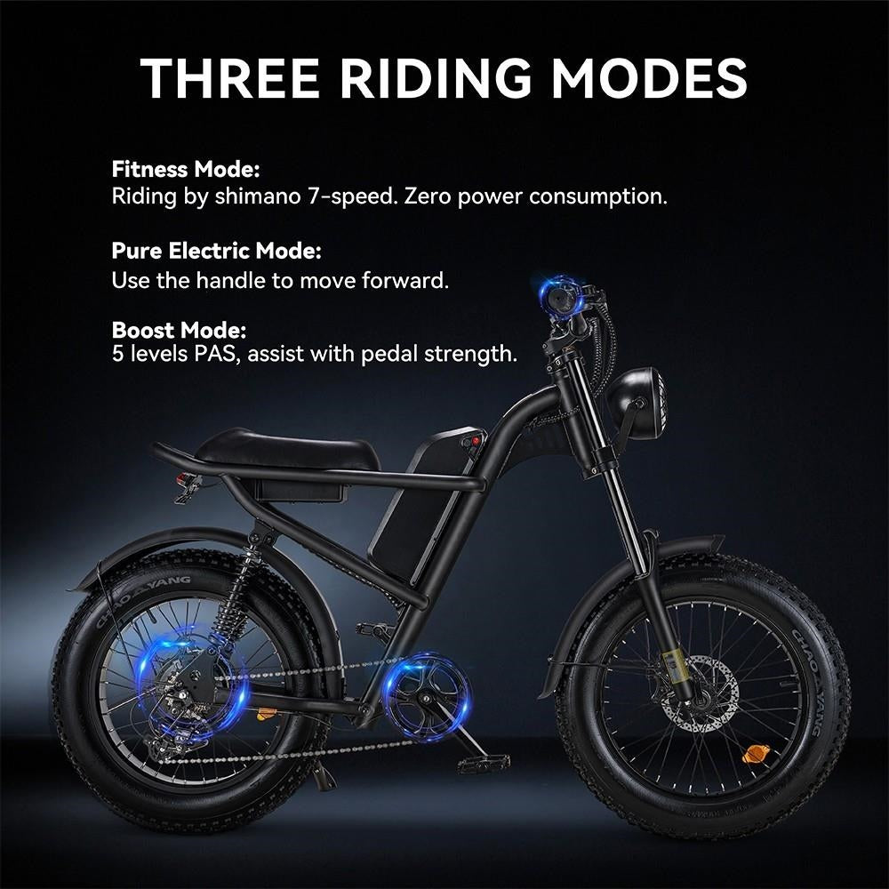 Z8 Electric Mountain Bike 20'' Fat Tires 500W Motor 48V 15Ah Battery