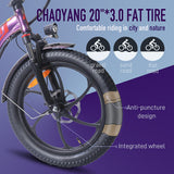 Fafrees F20 Pro Electric City Bike 20'' Tires 250W Motor 36V 18Ah Battery