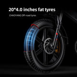 ENGWE ENGINE X Electric Bike 20'' Chaoyang Fat Tires 250W 48V 13Ah Battery