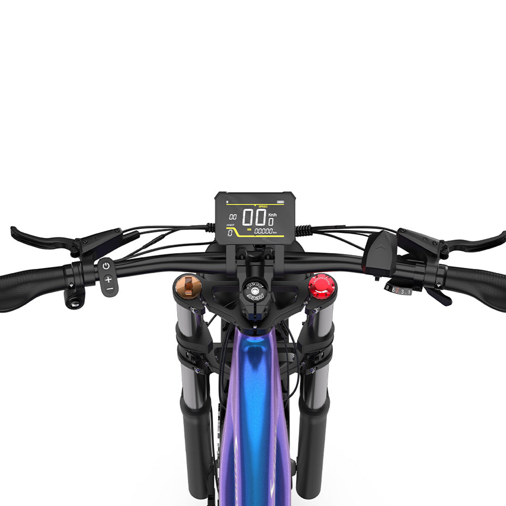 Duotts E26 Electric Bike 26" Tires 750W Motors 48V 20Ah Battery