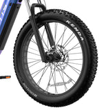 Duotts E26 Electric Bike 26" Tires 750W Motors 48V 20Ah Battery