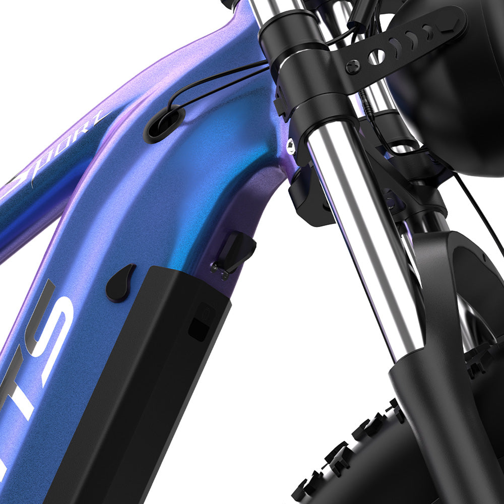 Duotts E26 Electric Bike 26" Tires 750W Motors 48V 20Ah Battery
