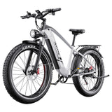 DUOTTS F26 Lite Electric Bike 26" Tires 500W Motors 48V 18Ah Battery