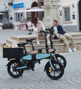 DYU C2 Electric Bike 16" Tires 250W Motor 48V 7.5Ah Battery