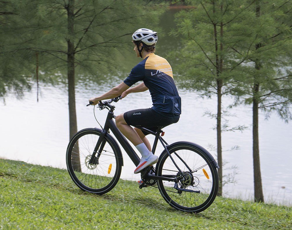 DYU Stroll 1 Electric Bike 28" Tires 250W Motor 36V 9Ah Battery