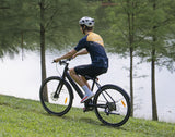 DYU Stroll 1 Electric Bike 28" Tires 250W Motor 36V 9Ah Battery