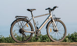 DYU Stroll 1 Electric Bike 28" Tires 250W Motor 36V 9Ah Battery