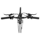 DYU Stroll 1 Electric Bike 28" Tires 250W Motor 36V 9Ah Battery