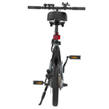 ESKUTE F100 Electric Folding Bike 14" Tires 250W Motor 36V 9Ah Battery