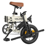 ESKUTE F200 Electric Folding Bike 14" Tires 250W Motor 36V 7.8Ah Battery