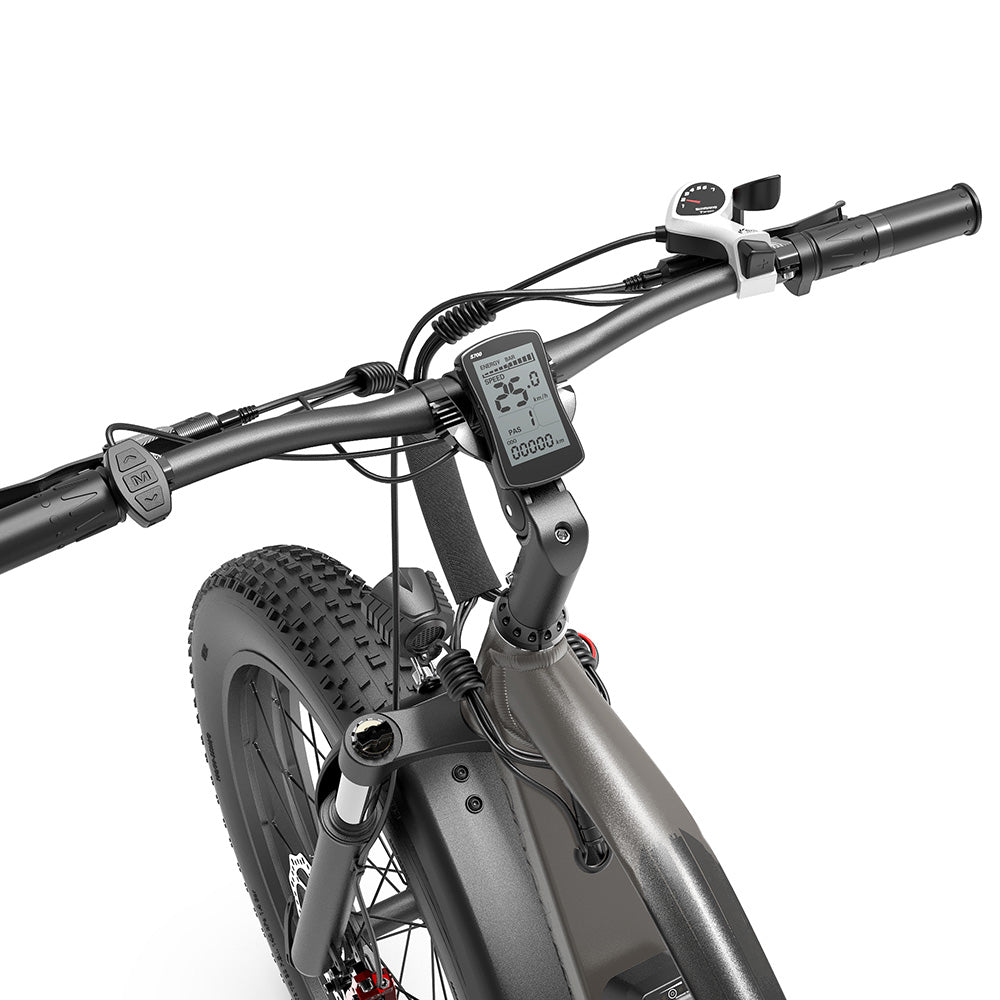 GOGOBEST GF600 Plus Electric Bike 26" Tires 1000W Motor 48V 20Ah Battery