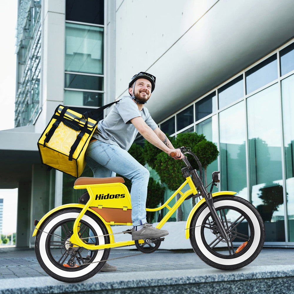 Hidoes C8 Electric Bike 20" Tires 700W Motor 48V 17Ah Battery